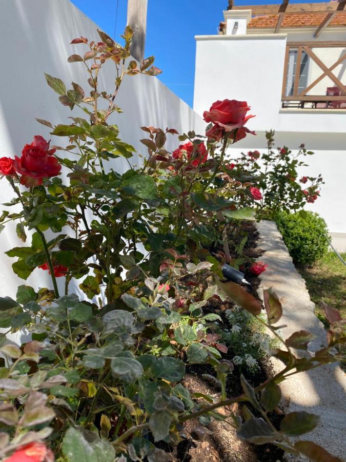 Exo Khora Kouzoulis Houseヴィラ エクステリア 写真